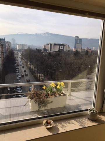 Cosy In The Very Heart Of * Σόφια